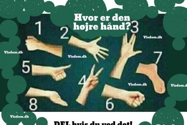 Hvor er den højre hånd? - DEL hvis du ved det!