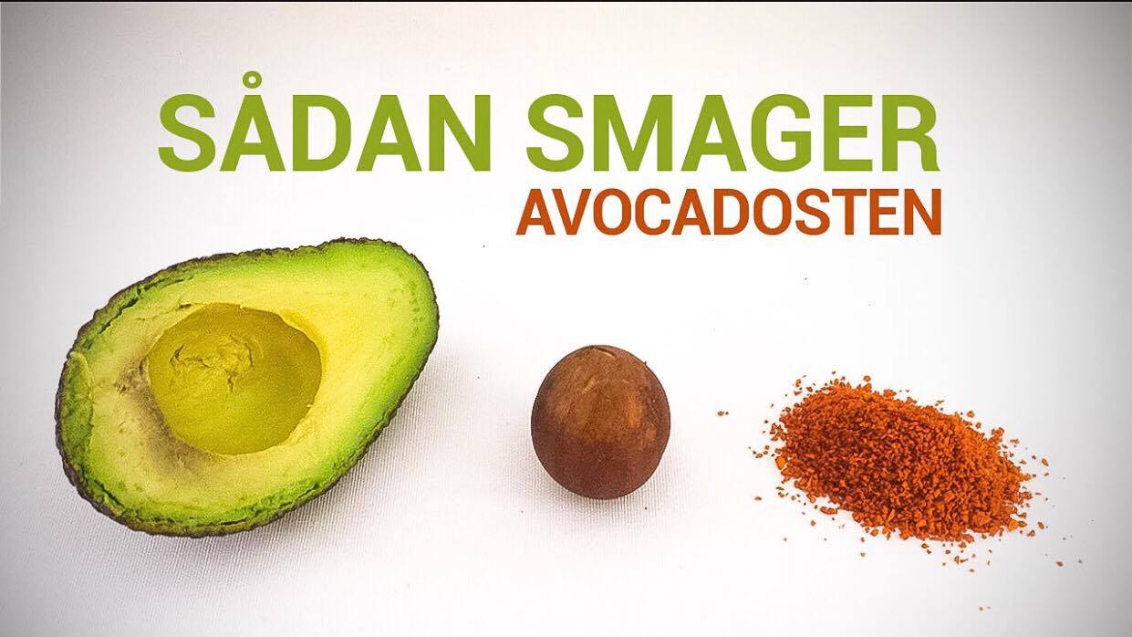 Avocadosten
