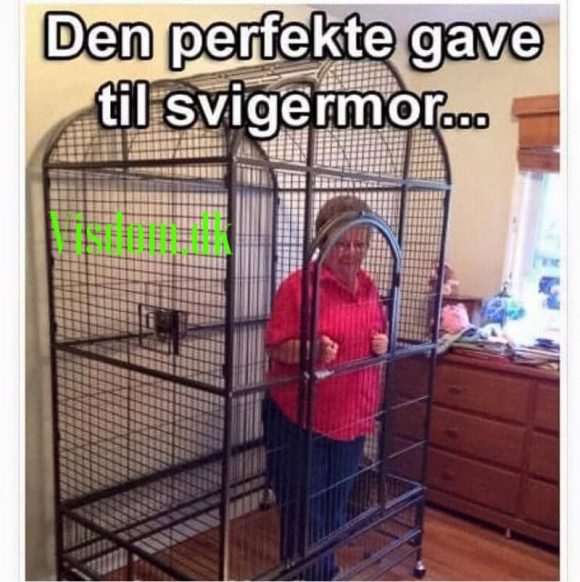 den perfekte gave til bedsteveninden den perfekte gave til bedsteveninden
