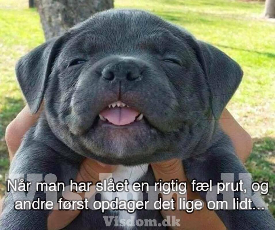 prut side seks dk prut side seks dk